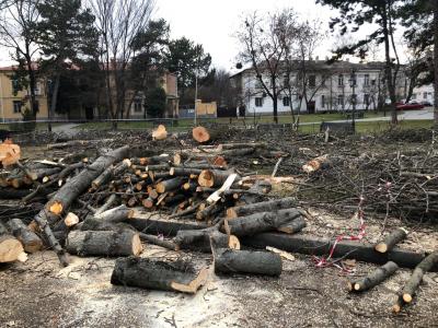 Прикрепленное изображение: 1.jpg